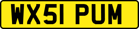 WX51PUM