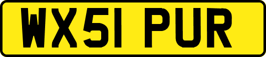 WX51PUR