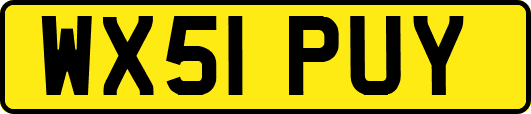 WX51PUY