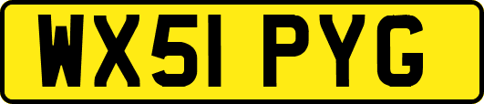WX51PYG