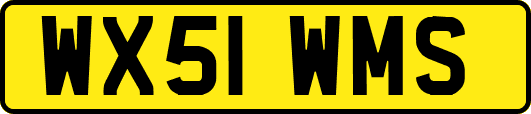 WX51WMS