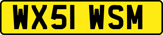 WX51WSM