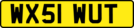 WX51WUT