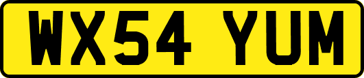 WX54YUM