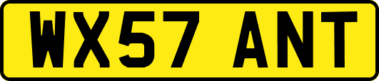 WX57ANT