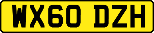 WX60DZH