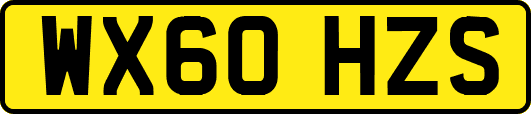 WX60HZS