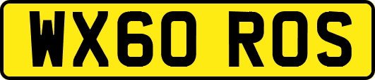 WX60ROS