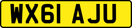 WX61AJU