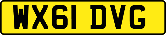 WX61DVG