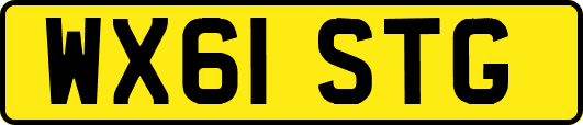 WX61STG
