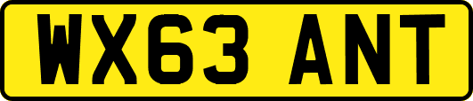 WX63ANT