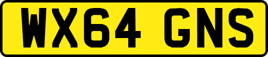 WX64GNS