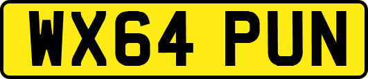 WX64PUN