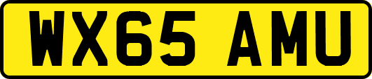 WX65AMU