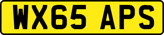 WX65APS