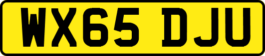 WX65DJU