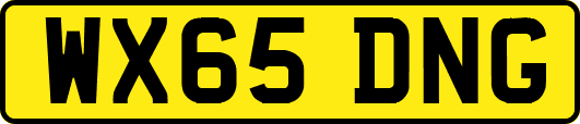 WX65DNG