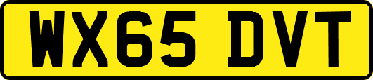 WX65DVT