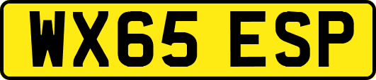 WX65ESP