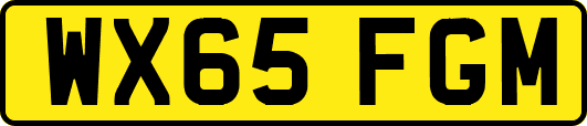 WX65FGM