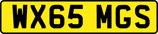 WX65MGS