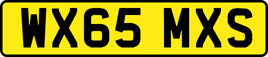 WX65MXS