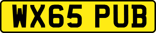 WX65PUB