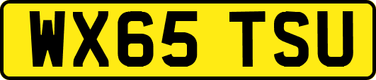 WX65TSU