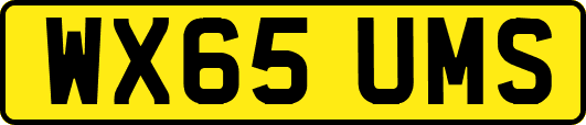 WX65UMS