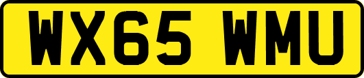 WX65WMU