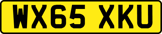 WX65XKU