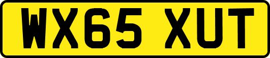 WX65XUT