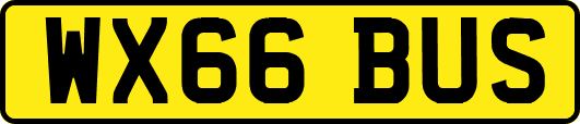WX66BUS