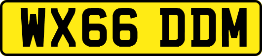 WX66DDM