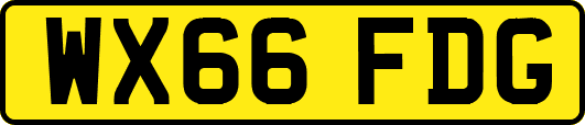WX66FDG