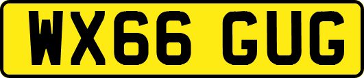 WX66GUG