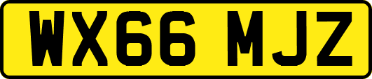 WX66MJZ
