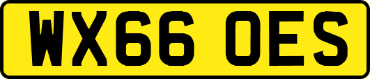WX66OES