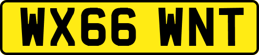 WX66WNT