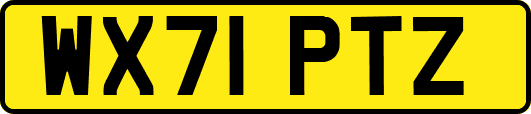 WX71PTZ