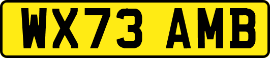 WX73AMB