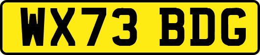WX73BDG