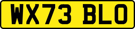 WX73BLO