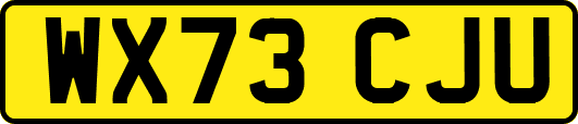 WX73CJU