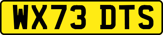 WX73DTS