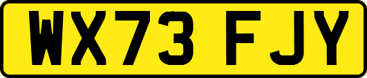 WX73FJY