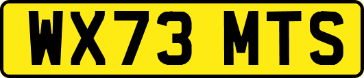 WX73MTS
