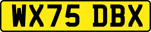 WX75DBX