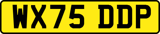 WX75DDP